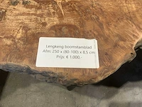 Lengkeng houten boomstamblad tafel - afbeelding 5 van  5