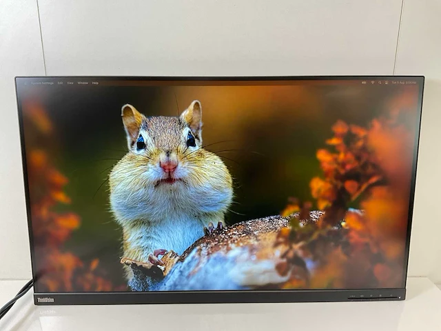 Lenovo (p32p-20) 32”, 3840x2160 (uhd) ips monitor - afbeelding 1 van  6
