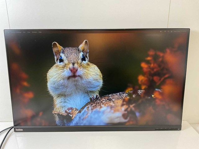 Lenovo (p32p-20) 32”, 3840x2160 (uhd) ips monitor - afbeelding 1 van  6