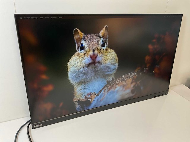Lenovo (p32p-20) 32”, 3840x2160 (uhd) ips monitor - afbeelding 3 van  6