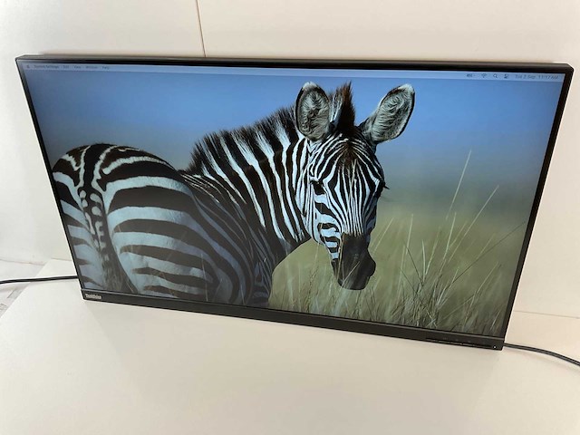 Lenovo (t32p-20) 32”, 3840x2160 (uhd) ips curved monitor - afbeelding 3 van  6