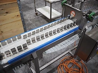 Lensink - afbeelding 12 van  15