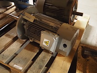 Leroy somer/roter - afbeelding 1 van  10