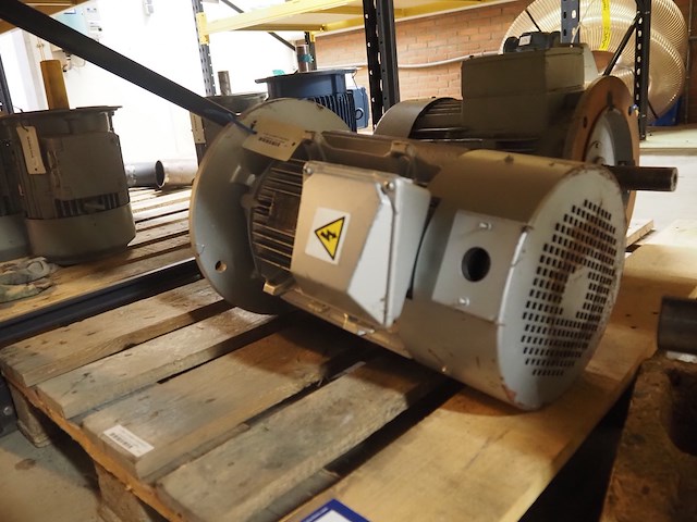 Leroy somer/roter - afbeelding 5 van  10