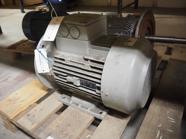 Leroy somer/roter - afbeelding 8 van  10