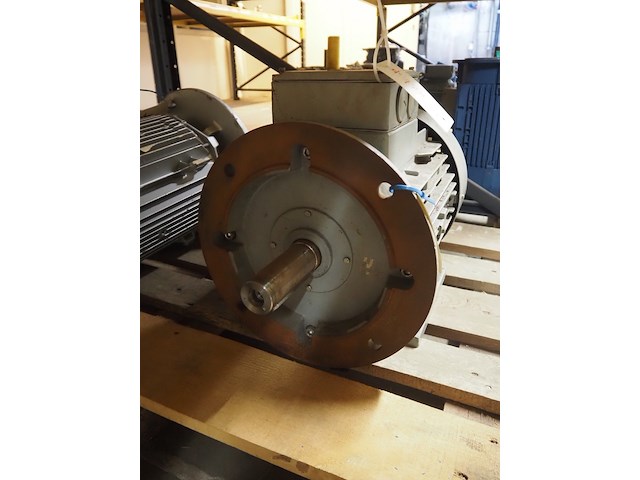 Leroy somer/roter - afbeelding 9 van  10