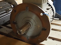 Leroy somer/roter - afbeelding 9 van  10