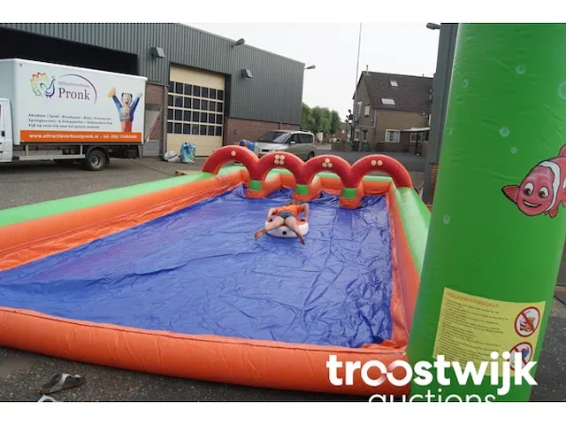 Levend sjoelen - afbeelding 3 van  3