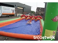Levend sjoelen - afbeelding 3 van  3