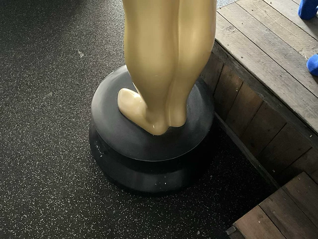 Levensgroot oscar beeld - afbeelding 7 van  7