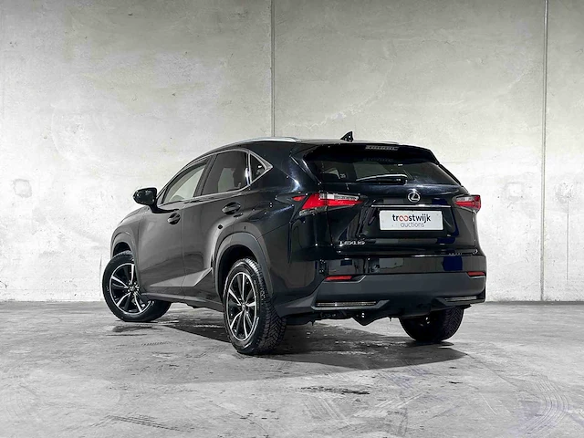 Lexus nx 300h business line pro 155pk 2015, gt-341-z - afbeelding 7 van  42
