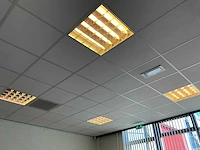 Lichtbakken (40x) - afbeelding 3 van  5