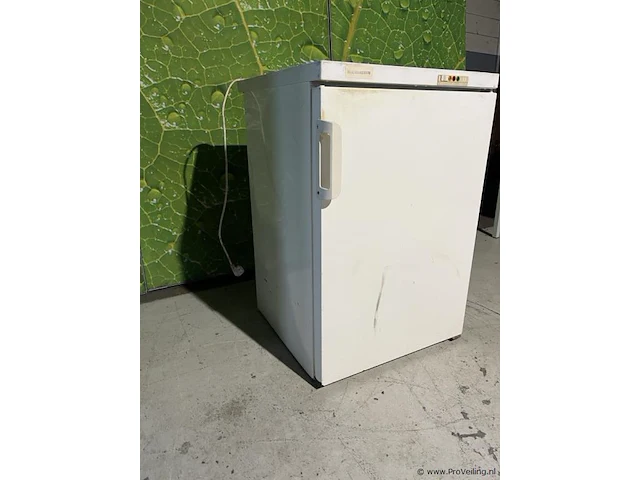 Liebherr vriezer - 56x60x85cm - afbeelding 2 van  6