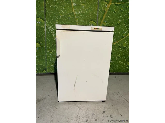 Liebherr vriezer - 56x60x85cm - afbeelding 1 van  6