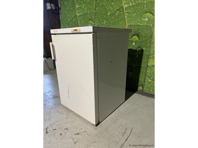 Liebherr vriezer - 56x60x85cm - afbeelding 3 van  6