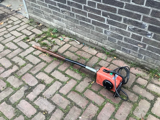 Lievers trilnaald - afbeelding 1 van  3