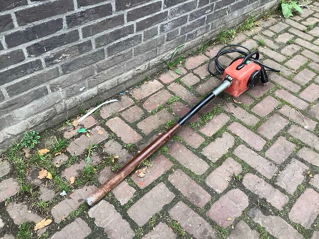 Lievers trilnaald - afbeelding 3 van  3