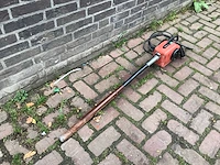 Lievers trilnaald - afbeelding 3 van  3