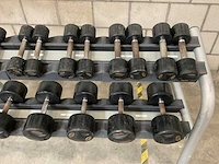 Lifemaxx dumbbell rek met dumbbells - afbeelding 3 van  3