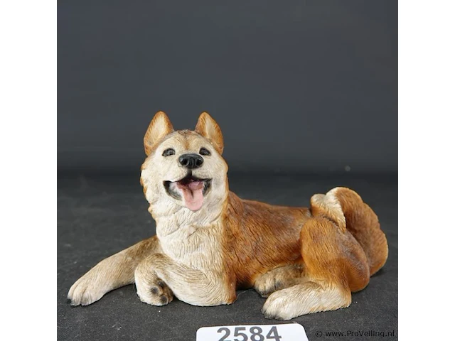 Liggende hond - afbeelding 1 van  5