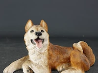 Liggende hond - afbeelding 1 van  5