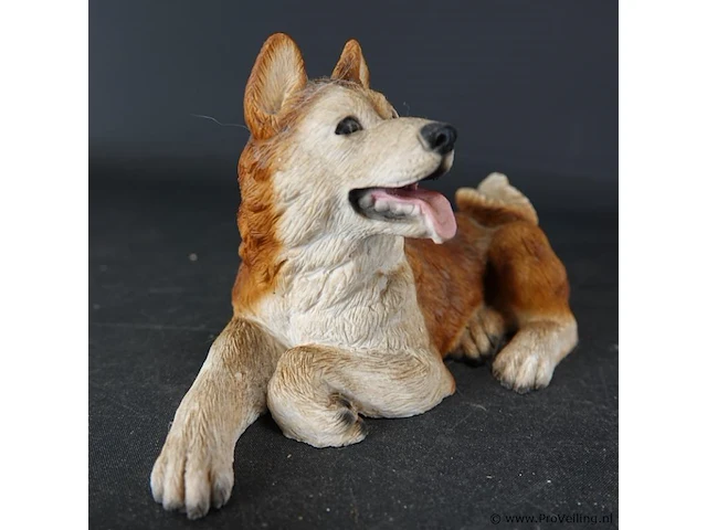 Liggende hond - afbeelding 2 van  5