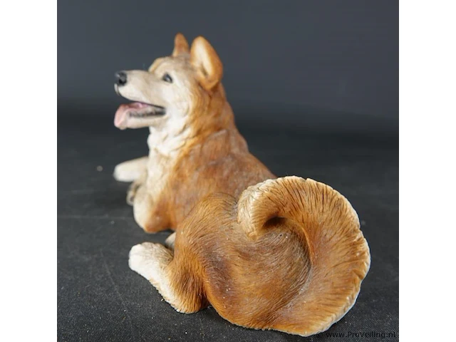 Liggende hond - afbeelding 3 van  5
