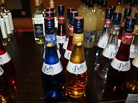 Likeur bols zeven smaken waaronder mango, watermeloen en strawberry. - afbeelding 1 van  2
