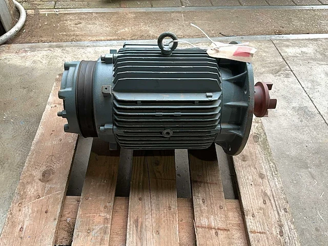 Lingi fn 160m/bif-4 elektromotor - afbeelding 5 van  6