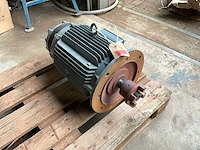 Lingi fn 160m/bif-4 elektromotor - afbeelding 6 van  6