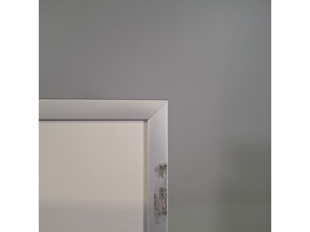 Linoleumsnede/ets, els maasson, struisvogel 53/70, 2002 - afbeelding 6 van  8