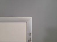 Linoleumsnede/ets, els maasson, struisvogel 53/70, 2002 - afbeelding 6 van  8