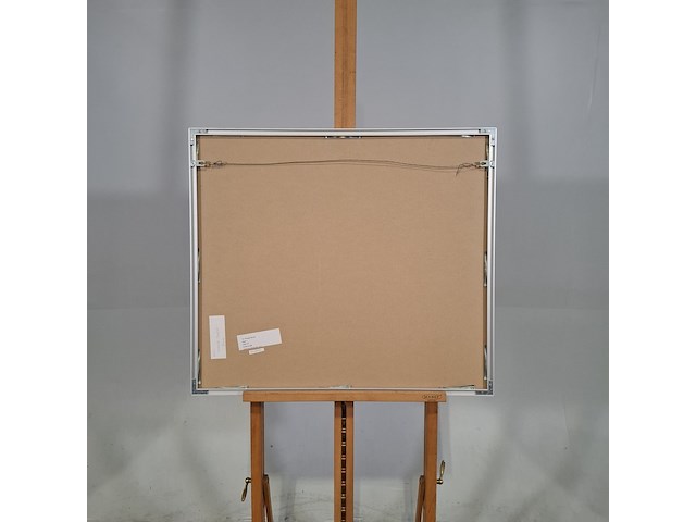 Litho, fernanda eleveld, bogen 7/17 - afbeelding 5 van  6