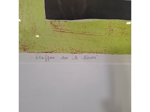 Litho, groenendaal, blaffen doe ik liever 4/12 - afbeelding 5 van  8
