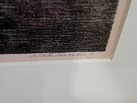 Litho, h. l. wesseling, oud huis 1/25 - afbeelding 5 van  7