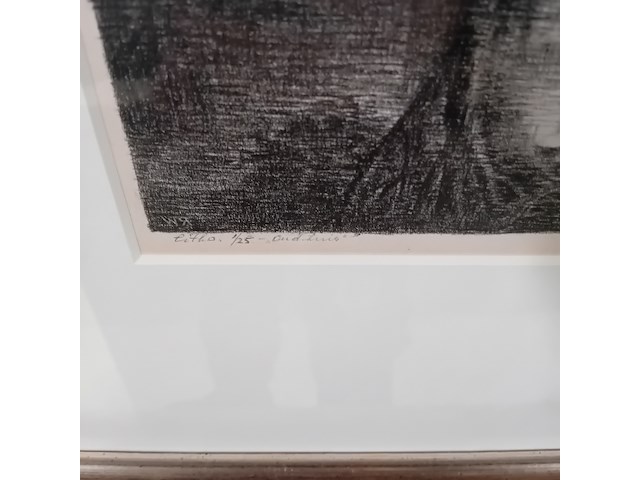 Litho, h. l. wesseling, oud huis 1/25 - afbeelding 6 van  7