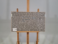 Litho, m. aulman, centaur / pegasus, 2000 - afbeelding 6 van  8