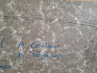 Litho, m. aulman, centaur / pegasus, 2000 - afbeelding 8 van  8