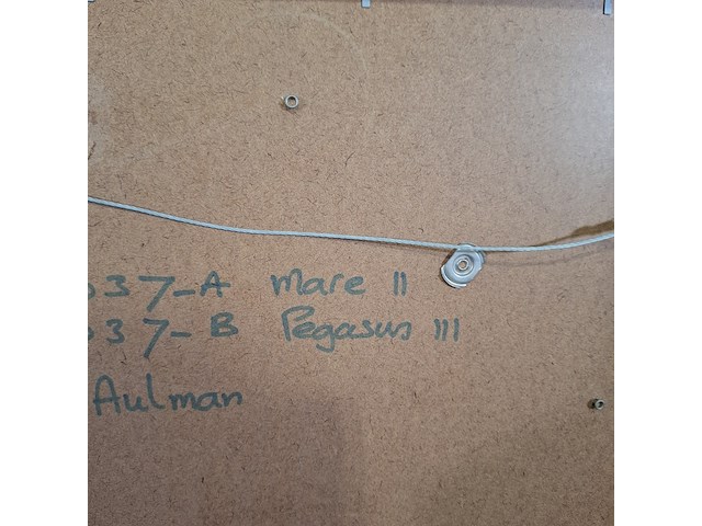 Litho, m. aulman, pegasus / mare, 2002 - afbeelding 8 van  8