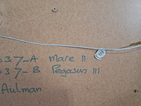 Litho, m. aulman, pegasus / mare, 2002 - afbeelding 8 van  8