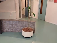 (locatie enschede) partij kantoor meubilair - afbeelding 29 van  62