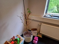 (locatie enschede) partij kantoor meubilair - afbeelding 28 van  62