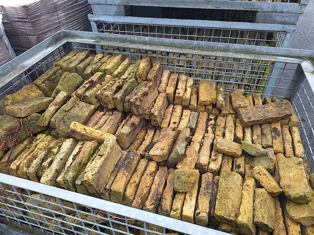 (locatie schagen) ca. 50 m² boeren - friese geeltjes in 7x gitterboxen - afbeelding 1 van  2