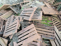 (locatie sneek) partij boomkranzen, samson, 75x75 - afbeelding 2 van  8