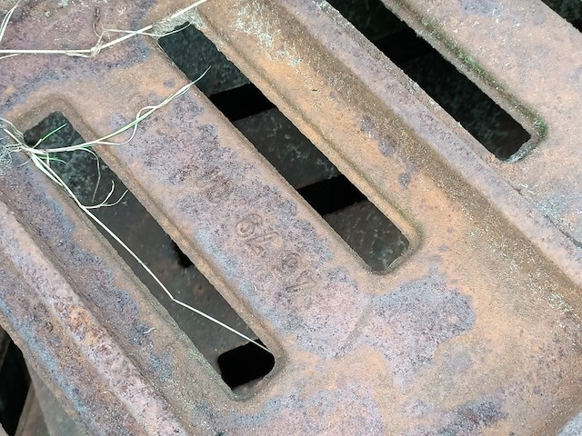 (locatie sneek) partij boomkranzen, samson, 75x75 - afbeelding 6 van  8