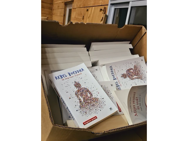 ( locatie westerbork ) mega partij boeken uit faillissement boekenwinkel - afbeelding 3 van  17