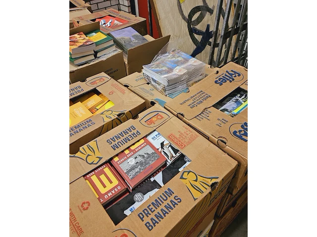 ( locatie westerbork ) mega partij boeken uit faillissement boekenwinkel - afbeelding 11 van  17
