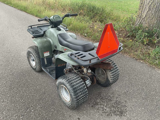 Long fu atv 50 quad - afbeelding 5 van  10