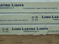 Long lasting lights t8 18w cool white - 3 stuks - afbeelding 2 van  4