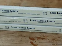 Long lasting lights t8 18w cool white - 3 stuks - afbeelding 3 van  4